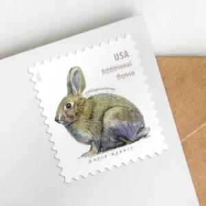 2021 Brush Rabbit First Class Postage Stamps