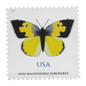 $1.12 California Dogface Butterfly